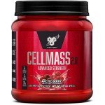 BSN Cellmass 2.0 Post Workout Recovery – Arctic Berry