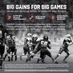 Fruit Punch Creatine X3 BCAA Powder, 30 Servings