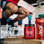 BSN Cellmass 2.0 Post Workout Recovery – Arctic Berry