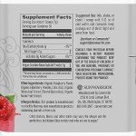 Micronized Creatine Powder for Muscle Recovery (50 Servings)