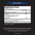 PMD Sports CG5 Creatine & L Glutamine Powder