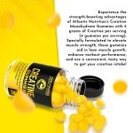 Creatine Monohydrate Gummies for Strength and Recovery
