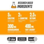 Outwork Nutrition Post Workout Recovery Powder, Orange 230g