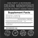 BIRDMAN Micronized Creatine Powder for Muscle Recovery