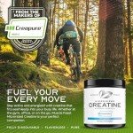 Micronized Creatine Monohydrate Powder – 200g Unflavored