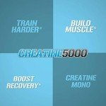 Evlution Nutrition Creatine 5000 Unflavored Powder 60 Servings