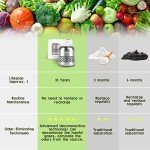 10-Year Refrigerator Deodorizer & Odor Eliminator