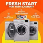 Tide Washing Machine Cleaner for Odor Control