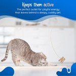 Interactive Cat Toy for Hours of Fun
