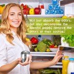 10-Year Refrigerator Deodorizer & Odor Eliminator