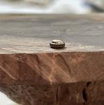 Vintage Gruen Ocean Chief dive watch steel waterproof 5.6mm crown 560rss Tap 10