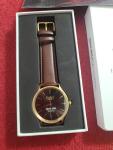 Hidden Hills Men’s Malibu Gold Watch
