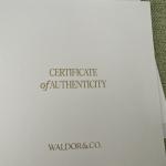 waldor&Co Venus 24 Woman’s Gold Tone Watch