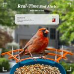 DOCOON Smart Bird Feeder with Camera, 2K HD AI Identify Birds Species, Bird Watching Camera with Solar Panel, Auto Capture Bi rd Videos & Instant Notifications, Ideal Present for BirdLover