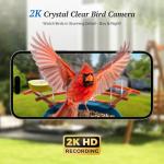 DOCOON Smart Bird Feeder with Camera, 2K HD AI Identify Birds Species, Bird Watching Camera with Solar Panel, Auto Capture Bi rd Videos & Instant Notifications, Ideal Present for BirdLover
