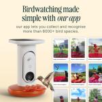 Birdbuddy Smart Solar Pro Hummingbird Feeder with Camera - AI Bird Identification, 2K Video, 5MP Photos, Outdoor Hanging, Gift for Bird Watching