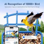 Bird Feeder with Camera AI Identify Birds Species Solar Panel - Smart Bird House with 1080P HD+ Video Live Stream, Instant Arrival Alerts, Live View, Capture Video, Bird Lover Watching