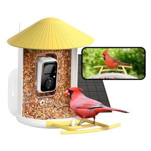 NETVUE by Birdfy Smart Bird Feeder with Camera, Battery&Solar Powered, 2MP Wireless Wildbird Watching, Night Color Vision, Auto-Capture & Notify, Collection & Cloud Storage (AI by Subscription)