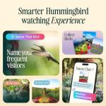 Birdbuddy Smart Solar Pro Hummingbird Feeder with Camera - AI Bird Identification, 2K Video, 5MP Photos, Outdoor Hanging, Gift for Bird Watching