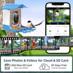 Bird Feeder with Camera AI Identify Birds Species Solar Panel - Smart Bird House with 1080P HD+ Video Live Stream, Instant Arrival Alerts, Live View, Capture Video, Bird Lover Watching
