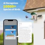 Bird Feeder with Camera, 1 Year Trial AI Identify, Birds Watching Camera with 4 DIY Add-ons, Smart Birds Cam with Solar Panel for Outdoor, Auto Record Videos, Gift for Bird Lover