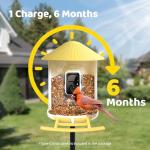 NETVUE by Birdfy Smart Bird Feeder with Camera, Battery&Solar Powered, 2MP Wireless Wildbird Watching, Night Color Vision, Auto-Capture & Notify, Collection & Cloud Storage (AI by Subscription)