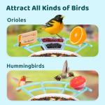 NETVUE by Birdfy Pro Smart Bird Feeder with Camera Solar Panel, Instant Arrival Alerts, Live Stream & Night Vision for Outdoors & Backyard Hummingbird, Cardinalis & Oriole Watching, Ideal Gifts, Blue