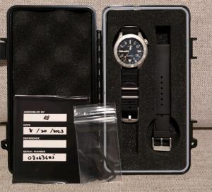 Sangin kinetic II Pilot