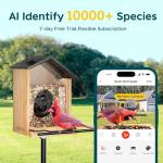 BBPECO Solar Powered Bird Feeder Camera, 3L Capacity Smart Feeder for AI Identify Over 10000 Species, Cloud Storage, Auto Capture & Instant Arrival Alerts, Ideal Bird Lovers Gifts