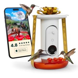 Birdbuddy Smart Non-Solar Pro Hummingbird Feeder with Camera - AI Bird Identification, 2K Video, 5MP Photos, Outdoor Hanging, Gift for Bird Watching