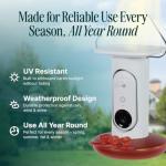 Birdbuddy Smart Non-Solar Pro Hummingbird Feeder with Camera - AI Bird Identification, 2K Video, 5MP Photos, Outdoor Hanging, Gift for Bird Watching