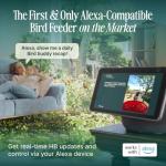 Birdbuddy Smart Non-Solar Pro Hummingbird Feeder with Camera - AI Bird Identification, 2K Video, 5MP Photos, Outdoor Hanging, Gift for Bird Watching