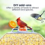 SOLIOM Smart Bird Feeder with Camera, 2K HD WiFi Bird Watching Camera with AI Identify Birds Species, Live View, Instant Notifications, Full Color Night Vision with 3W Solar Panel, BF02