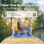 SOLIOM Smart Bird Feeder with Camera, 2K HD WiFi Bird Watching Camera with AI Identify Birds Species, Live View, Instant Notifications, Full Color Night Vision with 3W Solar Panel, BF02
