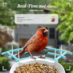 DOCOON Smart Bird Feeder with Camera, 2K HD AI Identify Birds Species, Bir d Watching Camera with Solar Panel, Auto Capture Bird Videos & Instant Notifications, Ideal Present for Bir d Lover, Blue