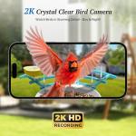 DOCOON Smart Bird Feeder with Camera, 2K HD AI Identify Birds Species, Bir d Watching Camera with Solar Panel, Auto Capture Bird Videos & Instant Notifications, Ideal Present for Bir d Lover, Blue
