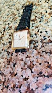 Vintage DOXA GRAFIC automatic  date  NICE