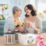 2 Pack Solar Bird Feeders for Outdoors Hanging - Attract Wild Birds & Cardinals, Elegant Minimalist Design, Garden Décor, Unique Gift