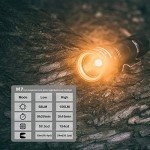 Weltool M7-AM Amber Light Flashlight for Night Activities