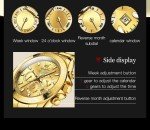 OLEVS Luxury Gold Automatic Men's Watch 6638