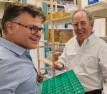 US Military Field Watch w/ Date, 34MM, Marathon, WW1940015 Lexan crystal NEW