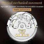 OLEVS Men's Automatic Tourbillon Stainless Steel Watch