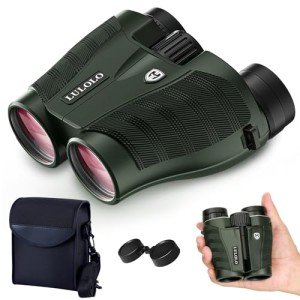 Compact HD Binoculars for Bird Watching and Travel