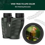 Compact HD Binoculars for Bird Watching and Travel