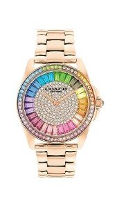 Coach Greyson Women's Water Resistant Watch