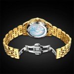 OLEVS Men's Automatic Business Watch - Luxury Gold