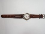 Swiss Military Style Wegner Men's Quartz Watch