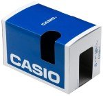 Casio Men's Classic Analog MQ24-9B Watch