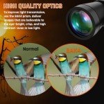 20x50 High Power Waterproof Binoculars for Adults
