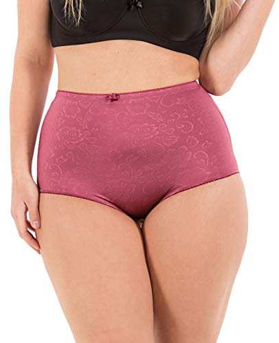 Barbra High-Waist Tummy Control Girdle Panties (X-Large)